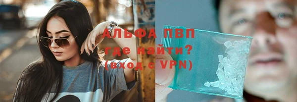 стафф Арсеньев