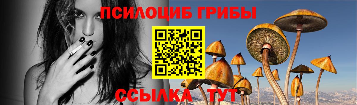 Псилоцибиновые грибы Magic Shrooms  Вход с VPN  Галлюциногенные грибы Psilocybine cubensis  Ульяновск 